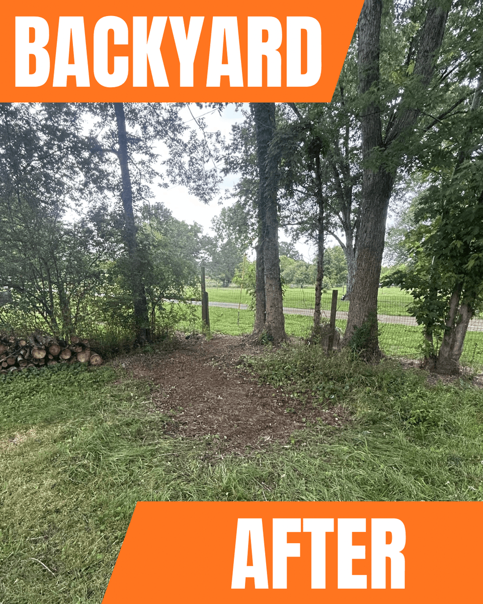 Backyard cleared of brush and debris after Rocky Road haul-off