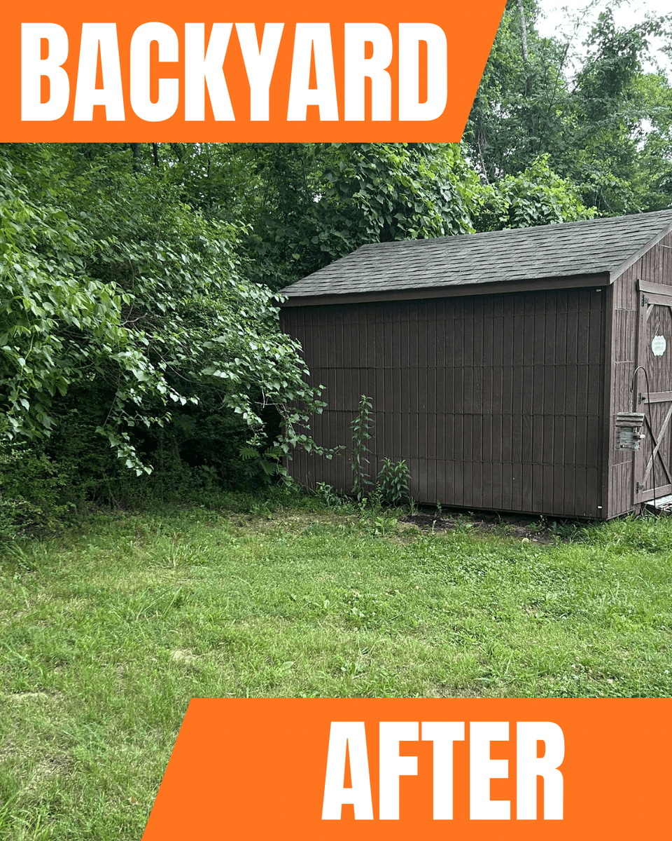 Shed and yard cleared after Rocky Road property cleanout
